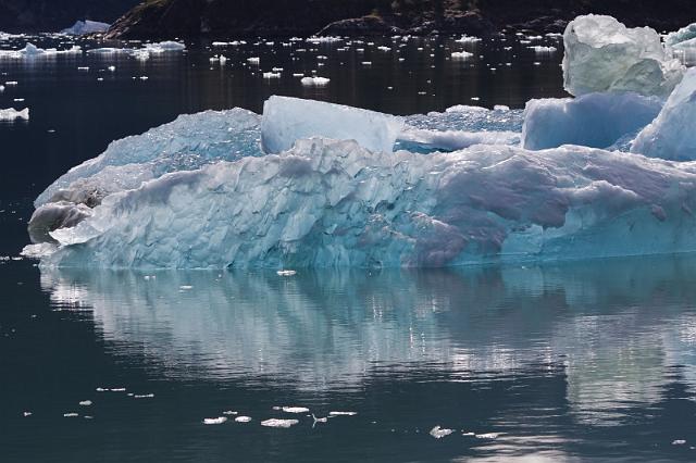 027 Tracy Arm.jpg